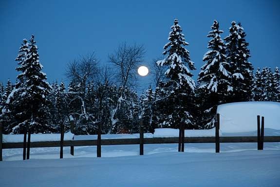 eiers_bilde_9 Galleribilde