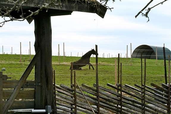 eiers_bilde_13 Galleribilde