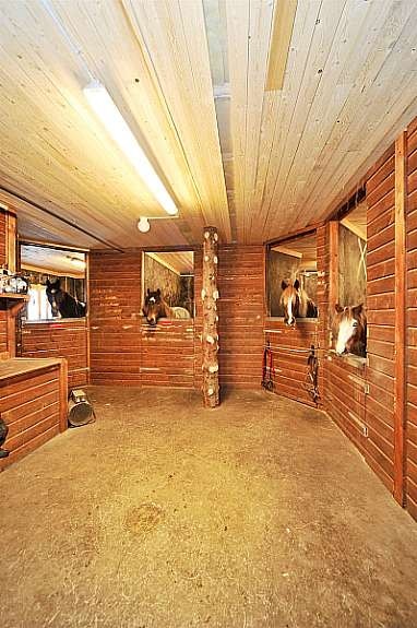 stall_2 Galleribilde