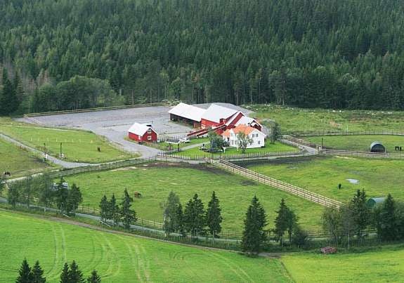 flyfoto Galleribilde