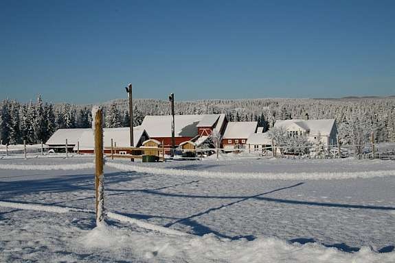 eiers_bilde_6 Galleribilde