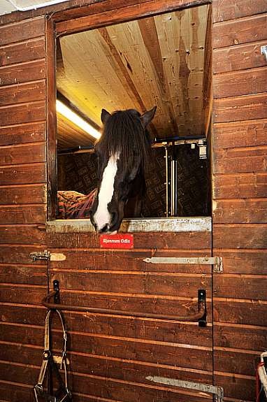 stall_3 Galleribilde