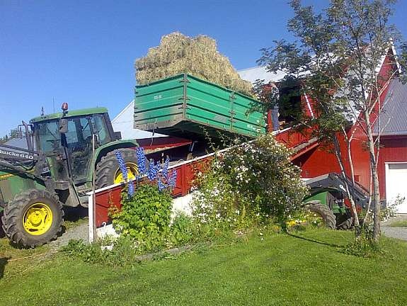 eiers_bilde_1 Galleribilde