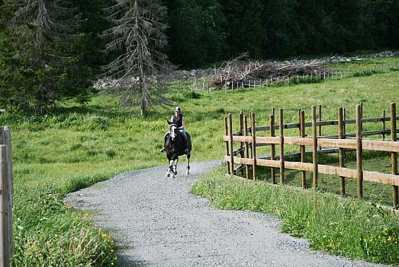 eiers_bilde_11 Galleribilde