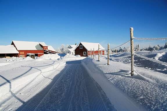 eiers_bilde_7 Galleribilde