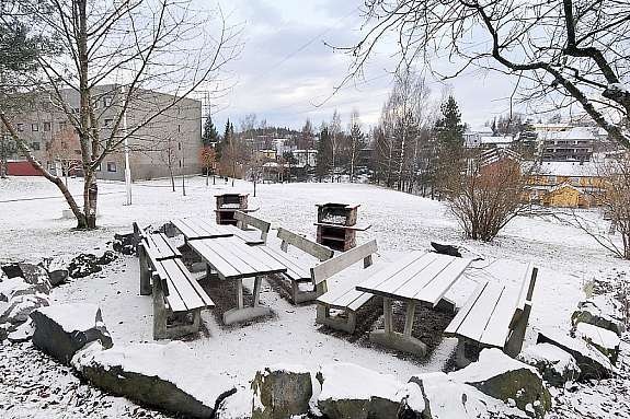 Grillplass i borettslaget Galleribilde