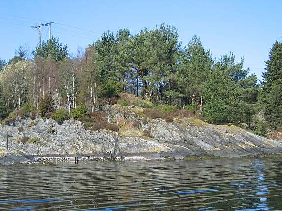 Fra sjøen Galleribilde