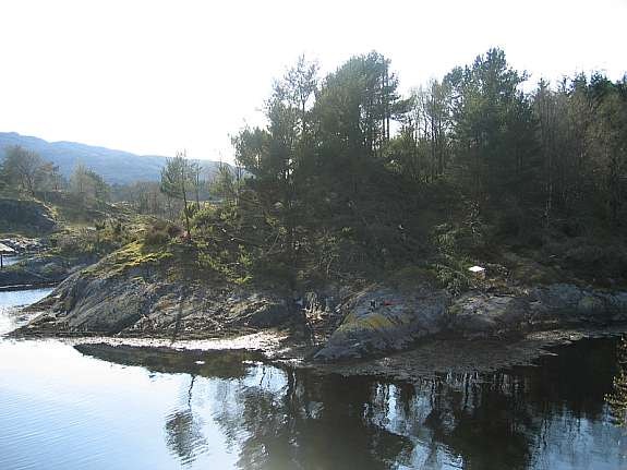 Mot tomten Galleribilde