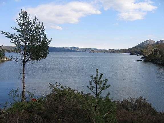 Utsikt fra tomten Galleribilde