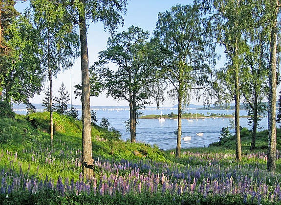 Utsikt fra sydvendt terrasse, under Færderseilasen Galleribilde