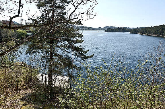 Like nedenfor boligen er det en felles brygge ved Nordåsvannet, som kan benyttes på deilige sommerdager. Galleribilde