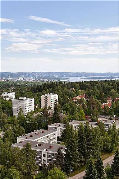 Sjøgløtt Galleribilde