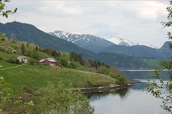 Område Galleribilde