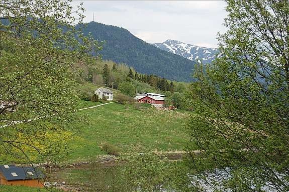 Område Galleribilde