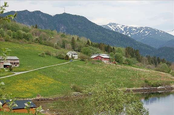 Område Galleribilde