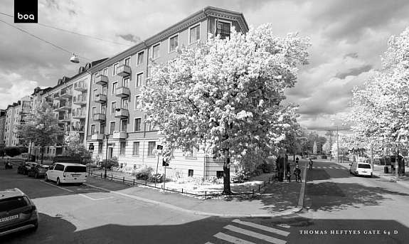 Bo sentralt 2 min fra Frognerparken Galleribilde