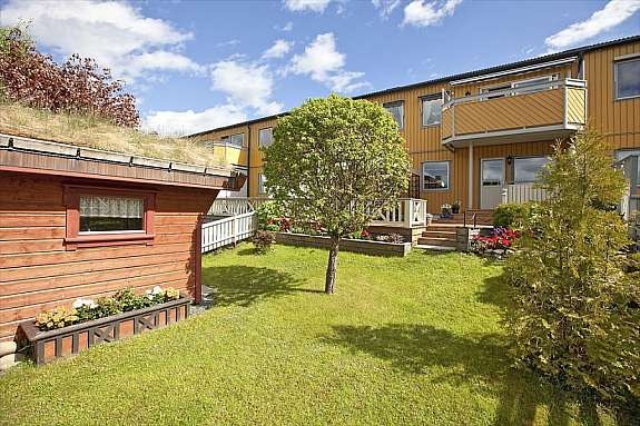 Pent opparbeidet hage med redskapsbod Galleribilde