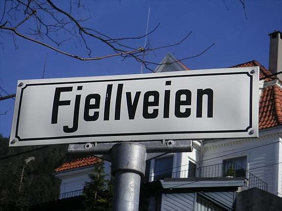 Fjellveien Galleribilde