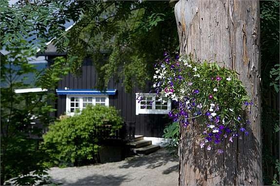 Bilde16 Galleribilde