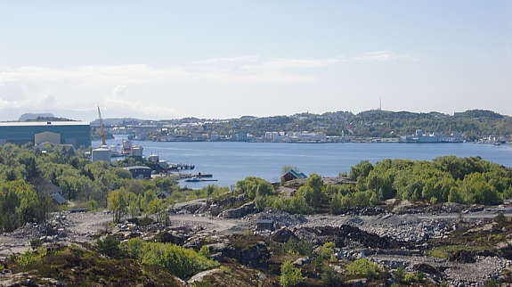 Alle bilder er tatt fra tomten! Galleribilde