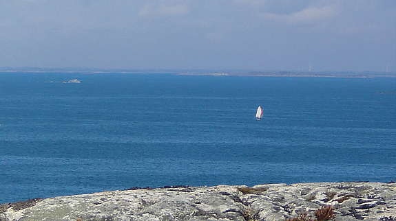 Alle bilder er tatt fra tomten! Galleribilde