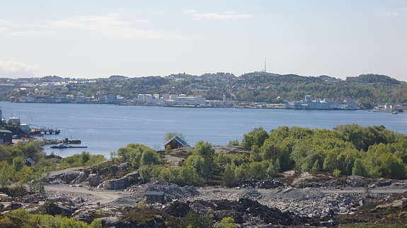 Alle bilder er tatt fra tomten! Galleribilde