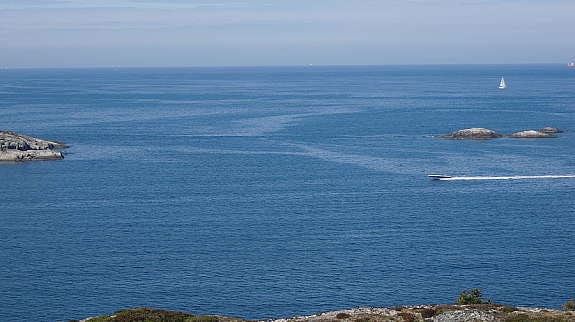 Alle bilder er tatt fra tomten! Galleribilde