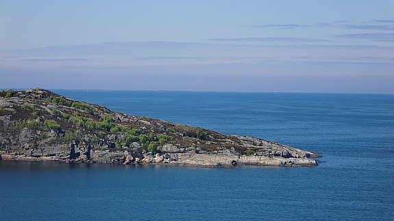 Alle bilder er tatt fra tomten! Galleribilde