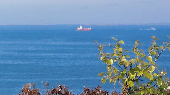 Alle bilder er tatt fra tomten! Galleribilde