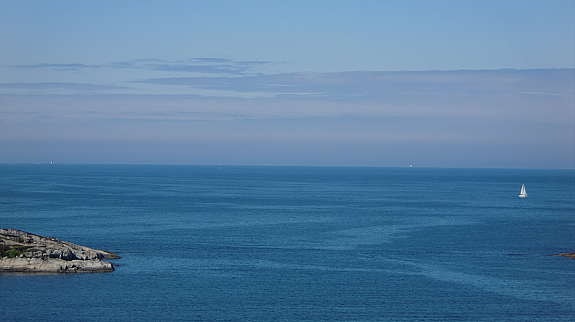 Alle bilder er tatt fra tomten! Galleribilde