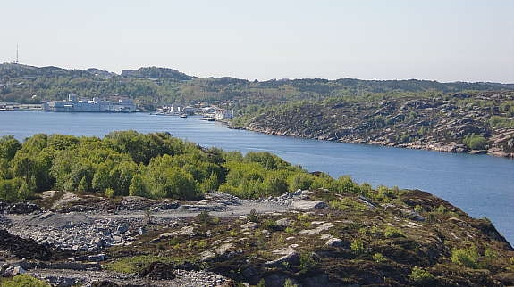 Alle bilder er tatt fra tomten! Galleribilde