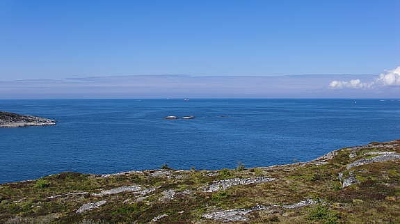 Alle bilder er tatt fra tomten! Galleribilde