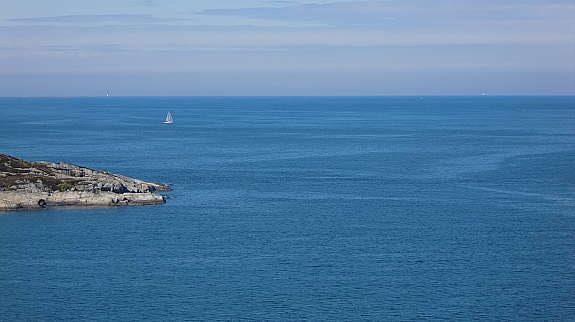 Alle bilder er tatt fra tomten! Galleribilde