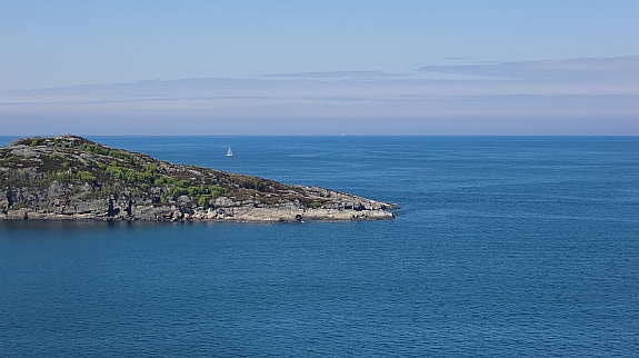 Alle bilder er tatt fra tomten! Galleribilde