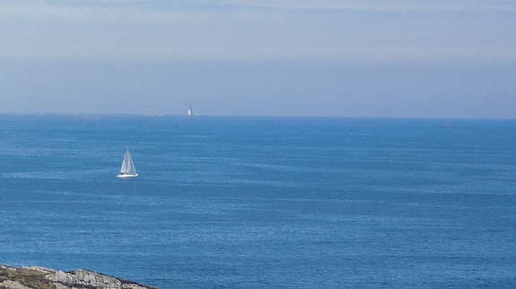 Alle bilder er tatt fra tomten! Galleribilde