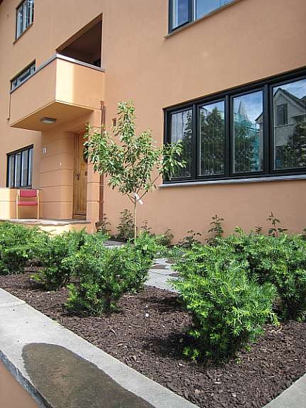 Front door Galleribilde