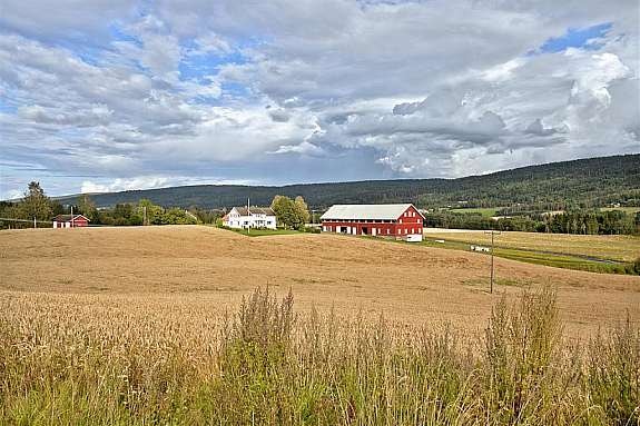 Område Galleribilde