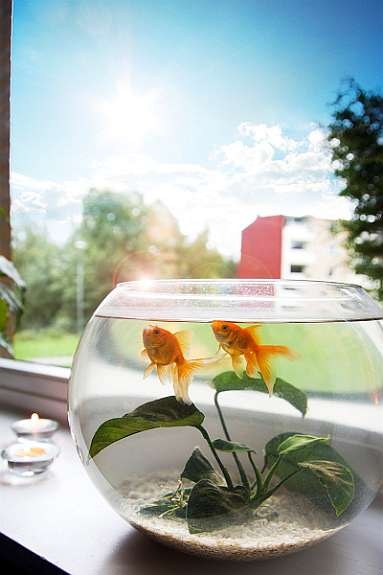 xdetalj1 Galleribilde