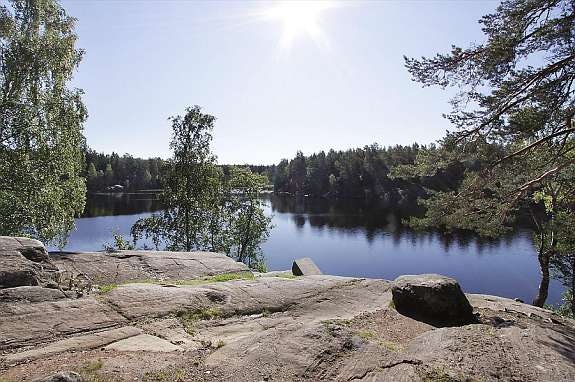 Nærområde Galleribilde