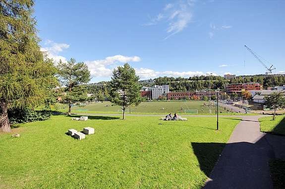 Nærområde Galleribilde