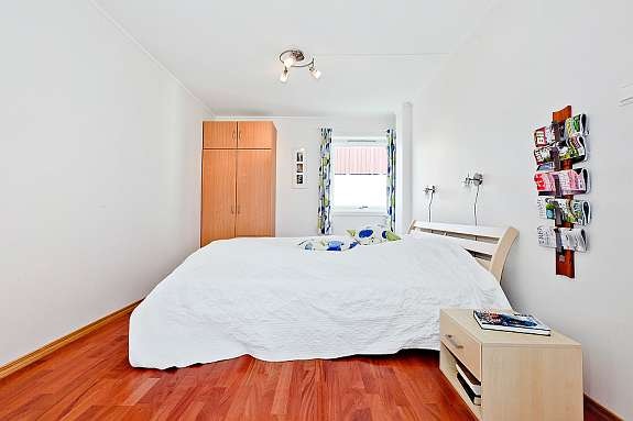 Hovedsoverorm Galleribilde