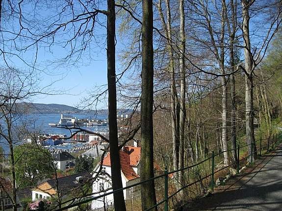 Fjellveien, et yndet sted for søndagsturer for bergenserne Galleribilde