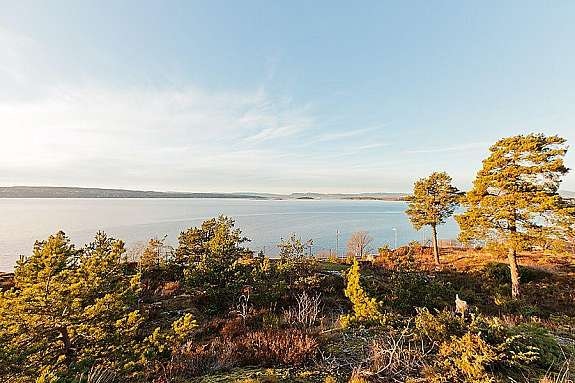 Flott utsikt! Galleribilde