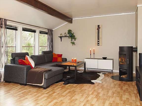 Stue med peisovn Galleribilde