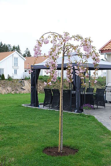 Uteområdene er pent opparbeidet Galleribilde