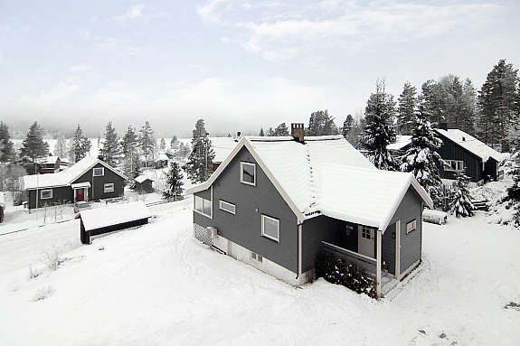 Fasade. Galleribilde