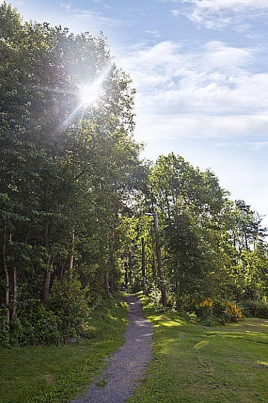 Områdebilde sommer Galleribilde