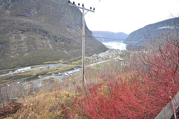Utsikt over Høyanger fra tomt Galleribilde