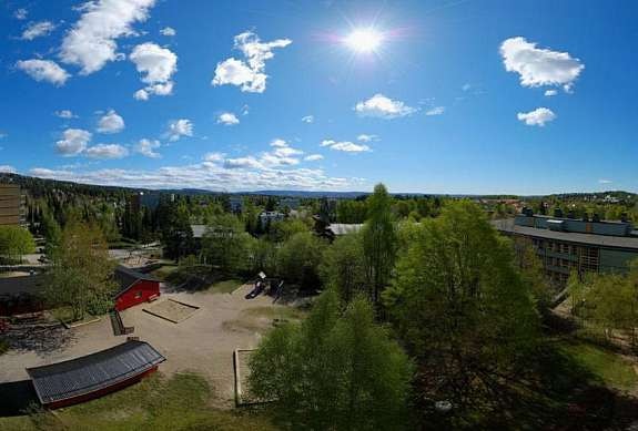 Utsikt sommer Galleribilde