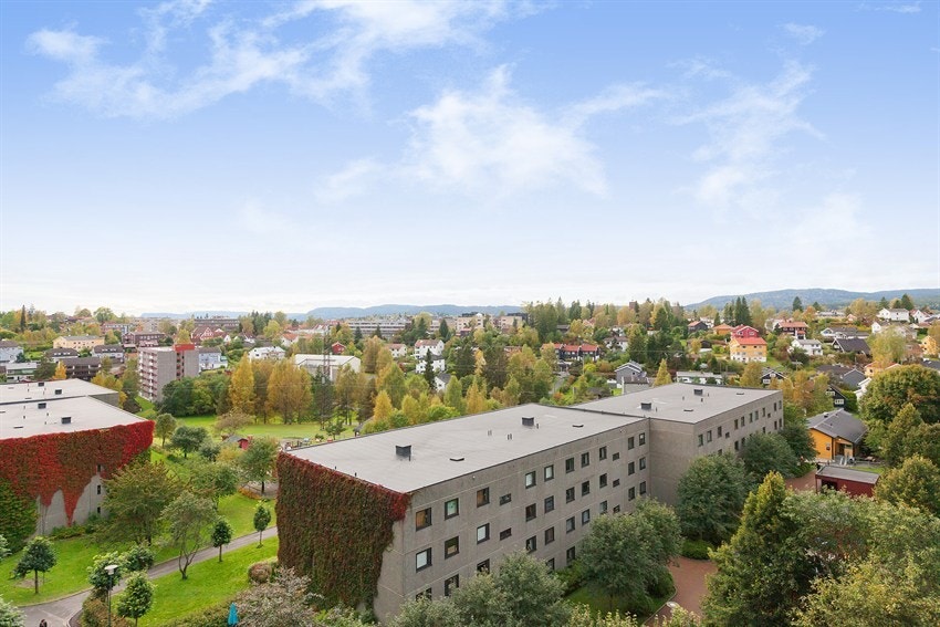 Nydelig utsikt Galleribilde